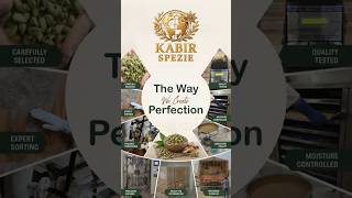 Premium Indian Spices Processing | From Selection to Shipment | Kabir Spezie