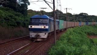 遅れて来た1091レ？（EF210-137）〜Japan Rail Freight EF210 series