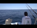 Диалоги о рыбалке. Парус (HD)