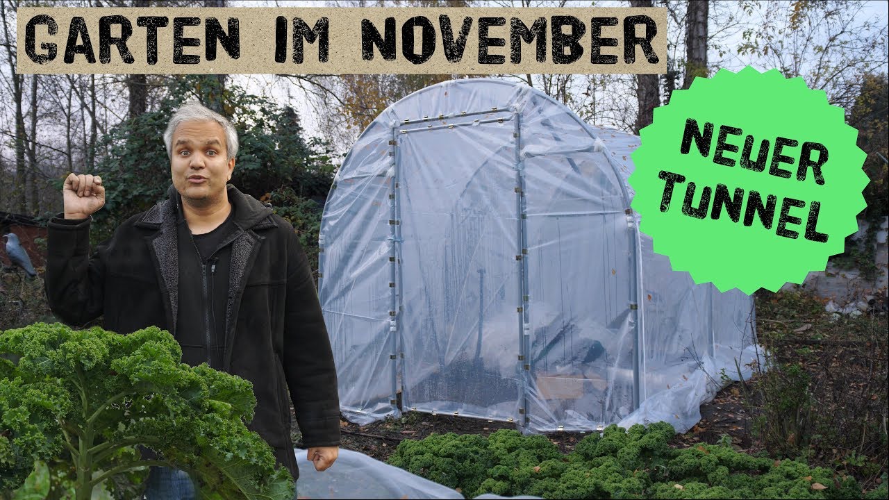 New Garten im November, Gartenpläne 2020 und NEUER Mini Profi Folientunnel
