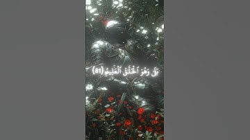 أوليس الذي خلق السماوات والأرض بقادر علي أن يخلق مثلهم سورة يس القارئ أحمد بن طالب