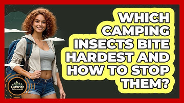 Which Camping Insects Bite Hardest And How To Stop Them? - Exploring Campgrounds