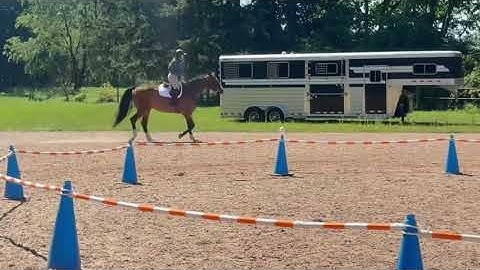 Using Clicker Training Under Saddle for Stretching and Relaxation 
