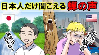 【海外の反応】日本のセミの鳴き声に外国人がショック！日本人はここが凄い！【世界のJAPAN】