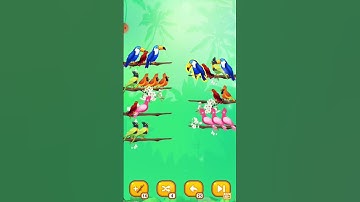 Bird Sort Color Puzzle Gaming video