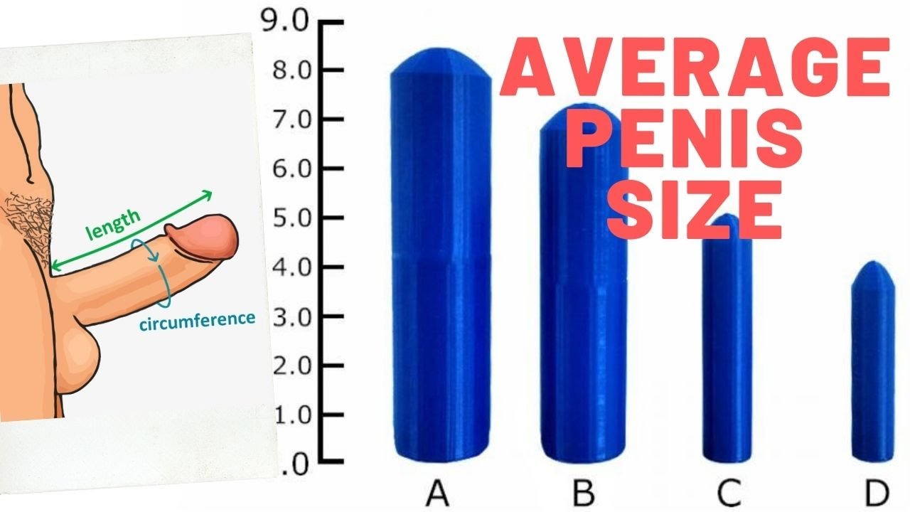 Mărimea penisului uman
