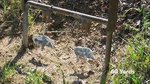 Steyr Zephyr II at the Silhouette Range