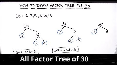 How to Draw Factor Tree of 30 / Factor Tree Method  of Factorization / Factor Tree and factors of 30