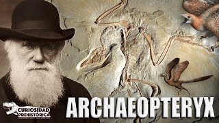 ¿Es un ave o un dinosaurio? - ARCHAEOPTERYX