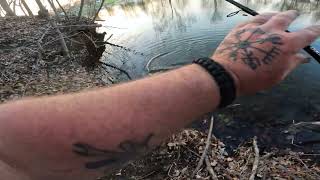 Pt. 2 of fluked on in the reel in