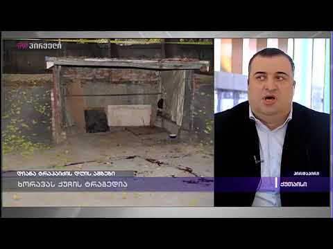 რატი იონათამიშვილი დიანა ტრაპაიძის დღის ამბებში