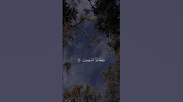 ياسر الدوسري | سورة الزخرف| يا عبادي لا خوف عليكم ولا أنتم تحزنون