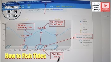 Learn How to Read Fishing Tides and Catch More Fish!