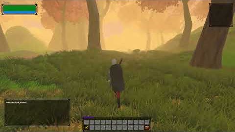 Combat, Cloaks & Water! - Elegon MMO Devlog #1