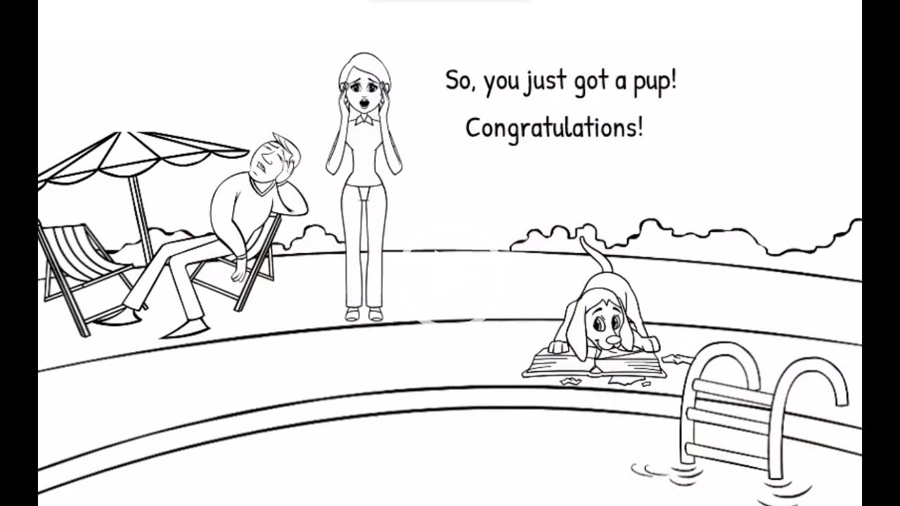 how to potty train a puppy or dog - YouTube