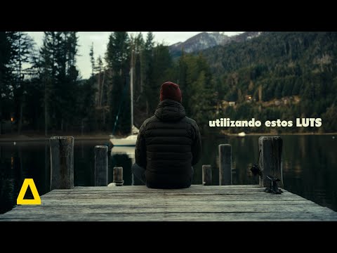Cómo lograr el LOOK de HOLLYWOOD en tus VIDEOS