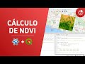 Google Earth Engine en QGIS para el cálculo de NDVI