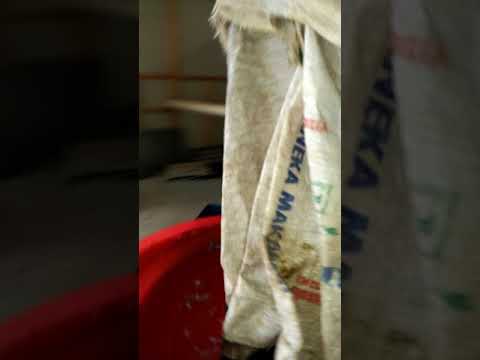 gilingan plastik PET