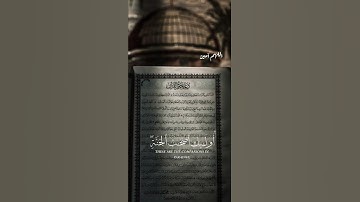 قرآن كريم راحة نفسية ودواء للقلب والنفس❤❤ #الله #اكسبلور #قرآن