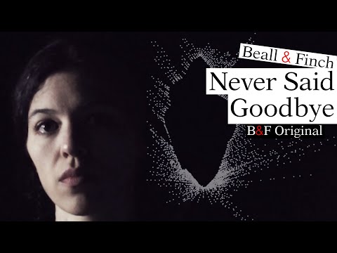 Never Said Goodbye - "we knocked and rang your bell a thousand times"
