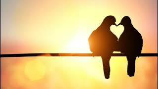 Remember Me This Way   Jordan Hill (Lyrics dan Terjemahan)