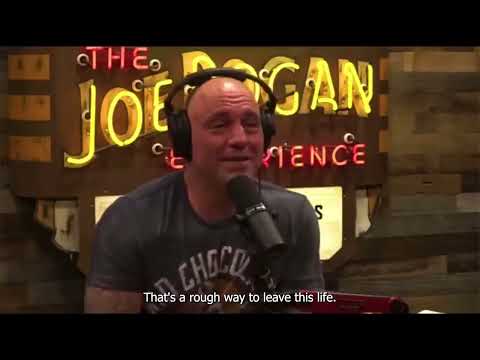 Joe Rogan: The Truth About Regular 9-5 Jobs...