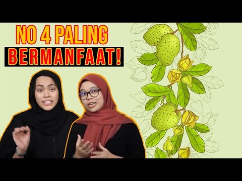 Video: Mencegah Pendebungaan Bersilang: Bolehkah Anda Mengawal Pendebungaan Bersilang?