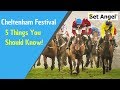 Five top tips for betting and Betfair trading at the Cheltenham festival