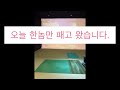드라이버 스윙 문제가 심각합니다. 조언부탁드립니다.