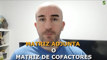 📐 Matriz adjunta vs matriz de cofactores 🤯 | Cómo calcularlas en 2x2 y 3x3 #smythacademy #Álgebra