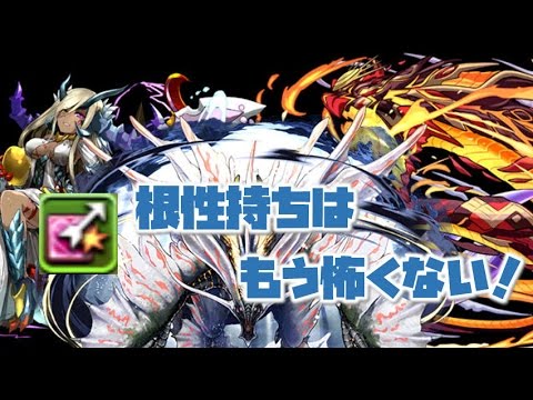 パズドラ 根性 持ち Article パズドラ 根性 持ち Article