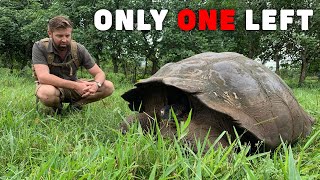 Finding the Rarest Animal in the World [BTS]