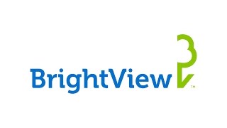 Introducing BrightView