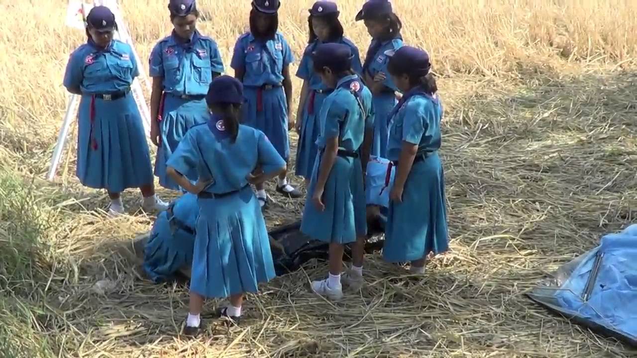 8 1 2559 pantakij wittaya