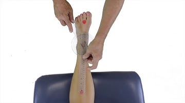 ROM   Ankle inversion tarsal joints