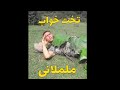 تخت خواب طبیعی و ململانی