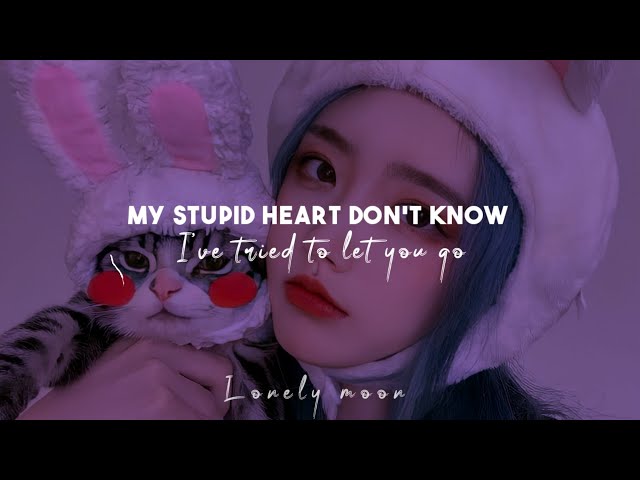 My stupid heart Don’t know I’ve tried to let you go || My stupid heart [ Remix ♡ Lyrics ] class=