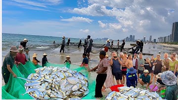 Kéo lưới ven bờ biển sơn TP đà nẵng