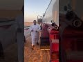 زينه شغلتكم