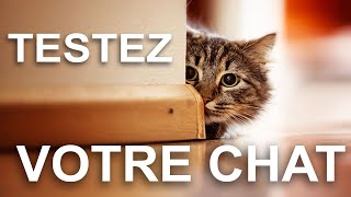 TESTEZ VOTRE CHAT