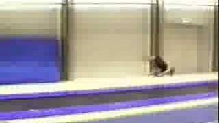 Tumbling inspirations course on Ollerup