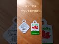 #シクラメン #おすすめ品種 #クリスマスプレゼント #shorts