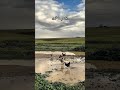 صباح الخير لكل الأرواح التي ت زهر رغم البلل وتبقى شامخة كأنها الشمس في قلب الغمام صباح الخير
