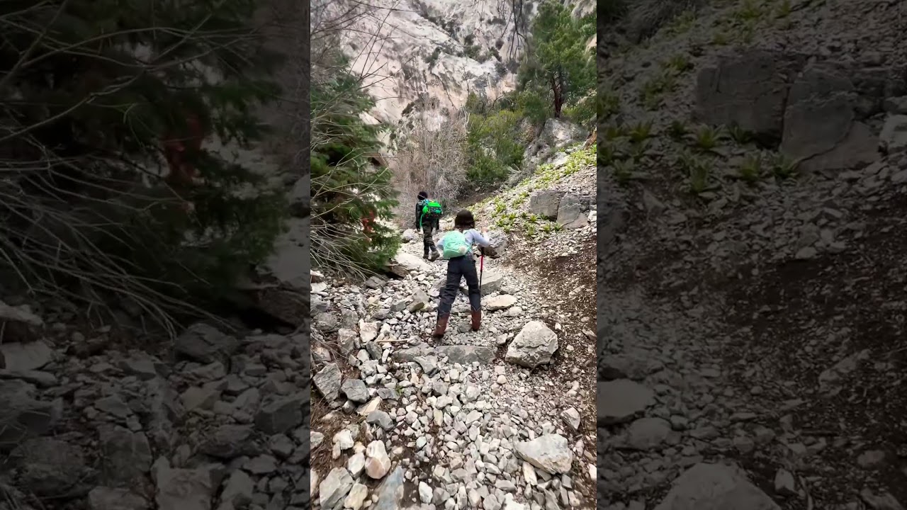 🏞️ Unexpected adventure! Found a rock climbers' cave on a snowy trail hike! ❄️✨ 
