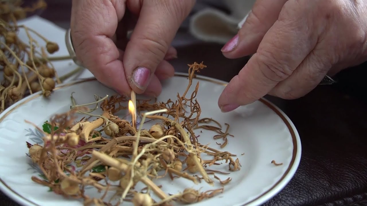 Олар онлайн порно бане айтқандай Өте жас порно