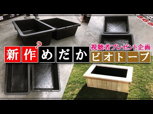 DIY】めだかトロ舟ビオトープ「視聴者プレゼント企画」 Japanese style