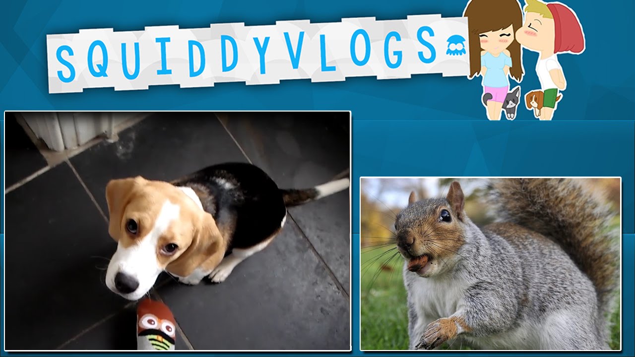 SquiddyVlogs - SQUIRREL FOOD! [3]