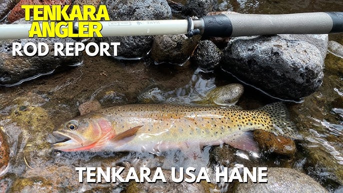 Tenkara Rod Action Ratings Explained - CCS & RFI 