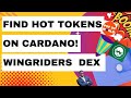 Find Hot New Tokens On Cardano - Wingriders