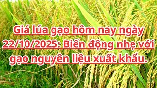 Giá Lúa Gạo Hôm Nay Ngày 22102025 Biến Động Nhẹ Với Gạo Nguyên Liệu Xuất Khẩu.